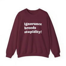 Load image into Gallery viewer, Cozy Unisex Crewneck Sweatshirt | Ultimate Comfort Wear, Casual Fashion, Gift for All Occasions, Everyday Style, Layering Essential