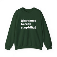 Load image into Gallery viewer, Cozy Unisex Crewneck Sweatshirt | Ultimate Comfort Wear, Casual Fashion, Gift for All Occasions, Everyday Style, Layering Essential