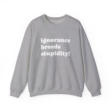 Load image into Gallery viewer, Cozy Unisex Crewneck Sweatshirt | Ultimate Comfort Wear, Casual Fashion, Gift for All Occasions, Everyday Style, Layering Essential
