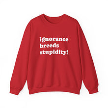 Load image into Gallery viewer, Cozy Unisex Crewneck Sweatshirt | Ultimate Comfort Wear, Casual Fashion, Gift for All Occasions, Everyday Style, Layering Essential

